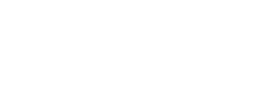 L1